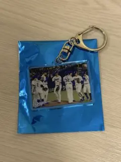 中日ドラゴンズ　ベストショットシークレットアクキー　集合