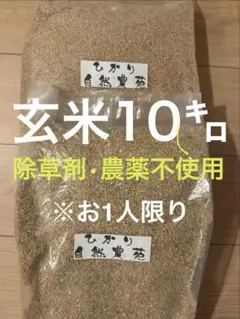 雑草や病害虫は厄介！ 7年産コシヒカリ 発芽用玄米10kg 特別栽培① 無