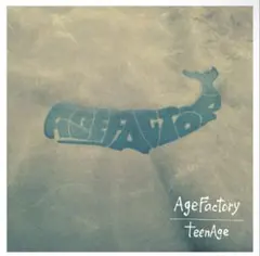 2026年最新】Age factory teenageの人気アイテム - メルカリ