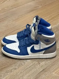 Nike Air Jordan 1 エアジョーダン1 21.5cm
