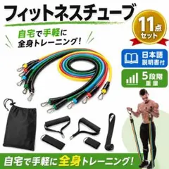 フィットネス　トレーニング　チューブ　筋トレ　エクササイズ　ダイエット　全身のサムネイル