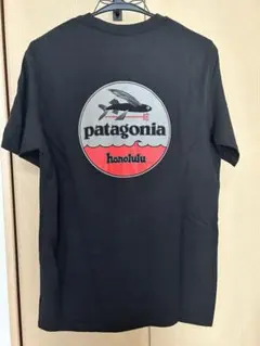 ⭐︎貴重⭐︎廃番 Patagonia／パタゴニア 超軽量スニーカー 水陸両用 