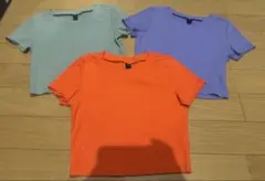 SHEIN リブニットクロップド丈　Tシャツ3点セット