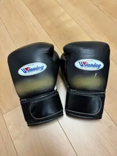 グローブ ボクシング