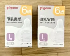 【新品未使用】Pigeon 母乳実感 Lサイズ 乳首 2個入×2セット（計4個）