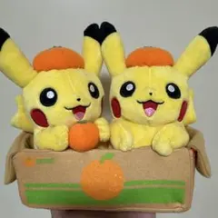 ポケモンストア 愛媛限定 みかん ピカチュウ ぬいぐるみ 30周年 - メルカリ