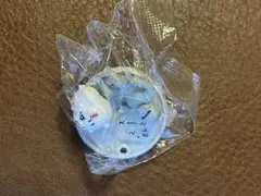 Item thumbnail for item 2724452a-951c-44e4-b3f1-50dd5bc81810