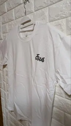 Tシャツ 　白　メンズ　軽量　プリントTシャツ　ワンポイント　Lサイズ　スポーツ