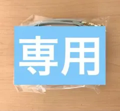 ポール&ジョー モバイルポーチ ミント