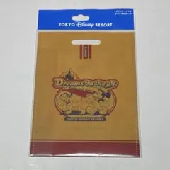 ディズニーリゾート　ポストカード2枚　クリアホルダー　　ミッキー　プルート