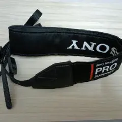 Item thumbnail for item 490d011e-1a55-4d90-9f4d-48d376e73274