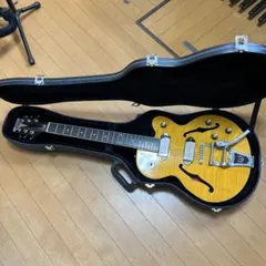 2026年最新】WILDKAT EPIPHONEの人気アイテム - メルカリ