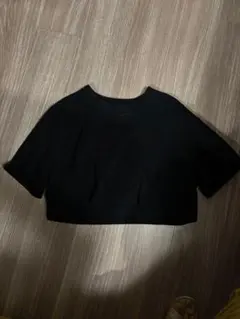 ZARA クロップドTシャツ 2色セット（黒・白）
