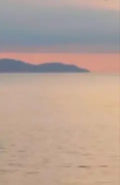 ふうき様専用　SANA アクリルスタンド