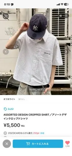 kutir ASSORTED DESIGN CROPPED SHIRTのサムネイル