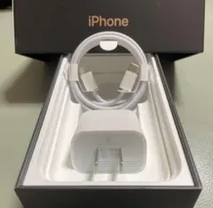 iPhone純正イヤホン付属品　急速充電器セット