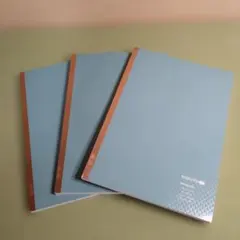 Item thumbnail for item 0b64f3a4-b7df-4e70-98d2-2ab646d00a93