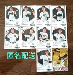 2025 BBM ルーキーED 千葉ロッテマリーンズ レギュラーコンプセット