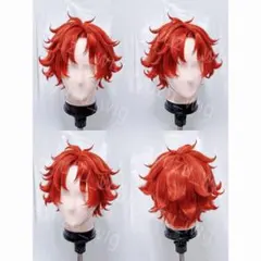芋けんぴ様 コスプレ ウィッグ オーダー 専用ページ 芋けんぴ様 コスプレ ウィッグ オーダー 専用ページ - メルカリ
