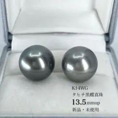 新品 贅沢 ラグーン級 深みがあるピーコックカラー天然タヒチパール