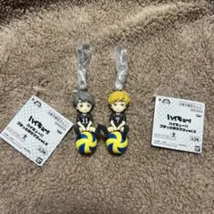 ハイキュー!! ボール付きキーホルダー 2個セット