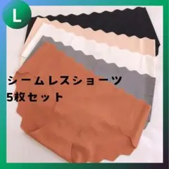 【新品】無縫製 縫い目が無いショーツ シームレスショーツ 女性 5枚セット L