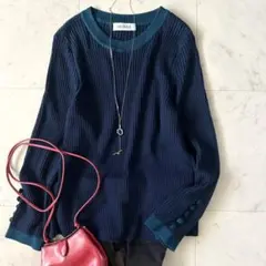 2025年最新】レリアン 大きいサイズ レリアンプラスハウス +17の