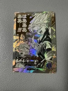 ダイバーズ　アドバンスパック　APT-014　パラレル　トランクス：幼