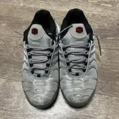。*様 Nike Air Max Plus グレー