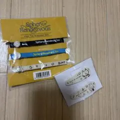 BUMP OF CHICKEN ニコル ヘアクリップ セット ヘアピン　ヘアゴム