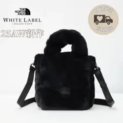 【韓国限定】ノースフェイス　プランピーファーバック　黒　25AW新作