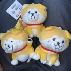 秋田犬たれみみだいちゃん　ボールチェーン付きぬいぐるみ　1　３種セット　a