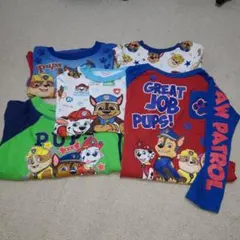 PAW PATROL チェイス 5枚セット