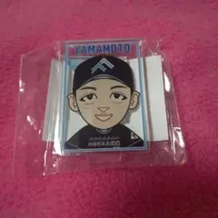日本ハムファイターズ 山本拓実選手 アクリルスタンド