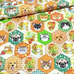 コヤンイサムチョン パターンシリーズ Quilting Honeybee Gre