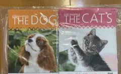 Item thumbnail for item e955abe0-26ee-4e1e-8aef-fd3d2fe1b7b6