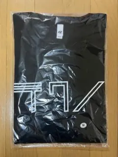 大竹伸朗 × YMO「テクノポップ」TシャツMサイズ　黒