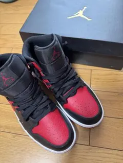 ナイキ ジョーダンアクセス 22.0 キッズ ジュニア レディース