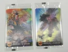Dragon Ball Z 3D Collection カード 2枚セット