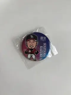 ホークス　缶バッジ　鷹祭summerboost Ver 杉山一樹