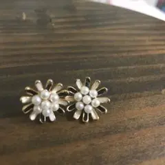 ピアス モエリーのサムネイル