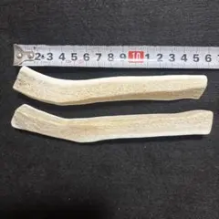 小型犬用８８、新生角ドッグガム‼️蝦夷鹿の角四つ割り２本セット、ワンチャンカミカミ