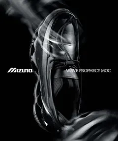 2026年最新】mizuno wave prophecy moc 25.5の人気アイテム - メルカリ