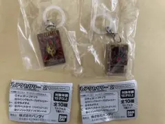 仮面ライダーシリーズ めじるしアクセサリー2 2種類セット