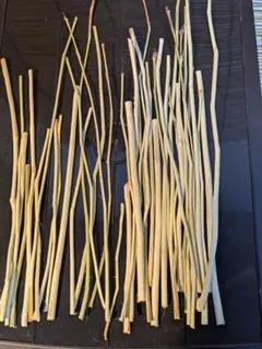 Item thumbnail for item ebcff784-3235-4b34-bb40-1da3aa451e2d