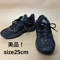 NIKE NIKE JORDAN ONE TAKE II バスケットボールシュー