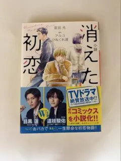 小説 消えた初恋 宮田光 アルコ ひねくれ渡