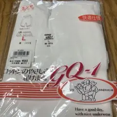 GUNZE GQ-1 Lサイズ インナーウェア