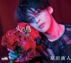 火の鳥/風 　他2枚セット
