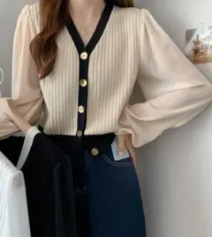 大人のニットブラウス（アイボリー） フリーサイズ ドットブラウスLサイズ